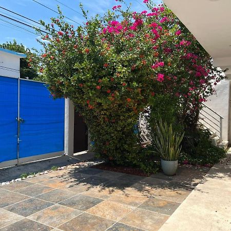 Apartament Casa Nuria Playa del Carmen Zewnętrze zdjęcie